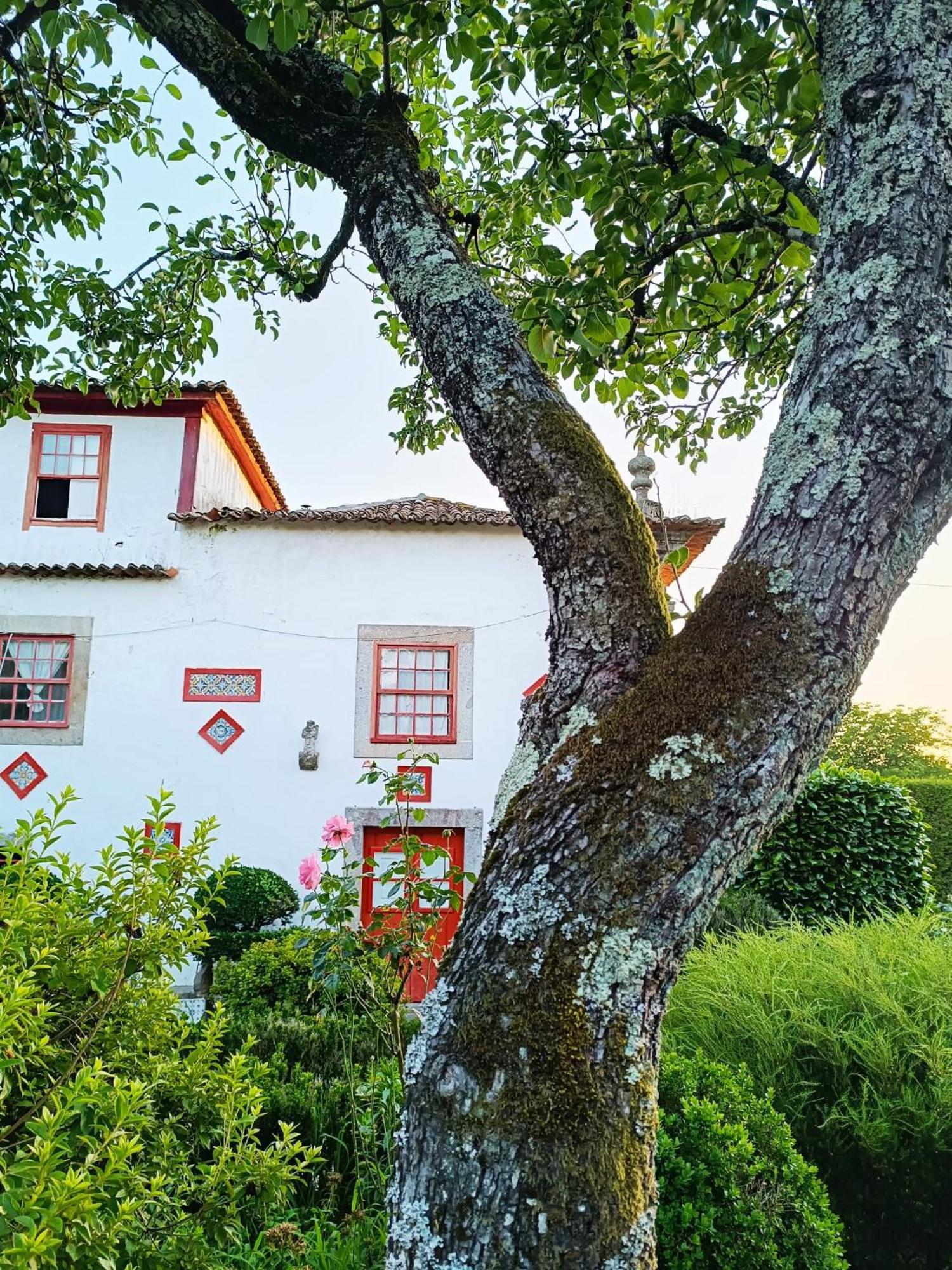 Quinta da Maínha Solar ALojamento local com piscina privada em Braga Exterior foto