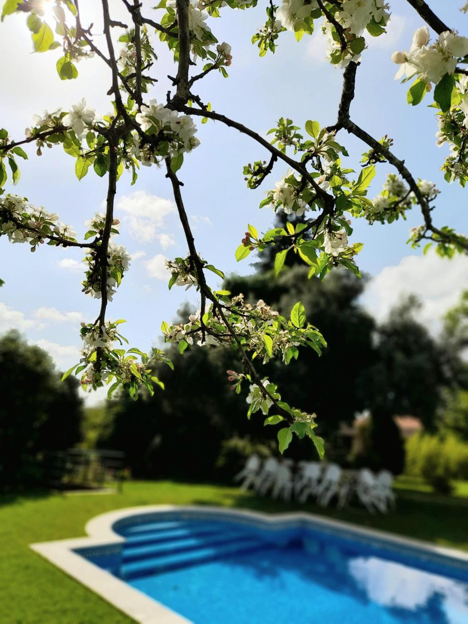 Quinta da Maínha Solar ALojamento local com piscina privada em Braga Exterior foto