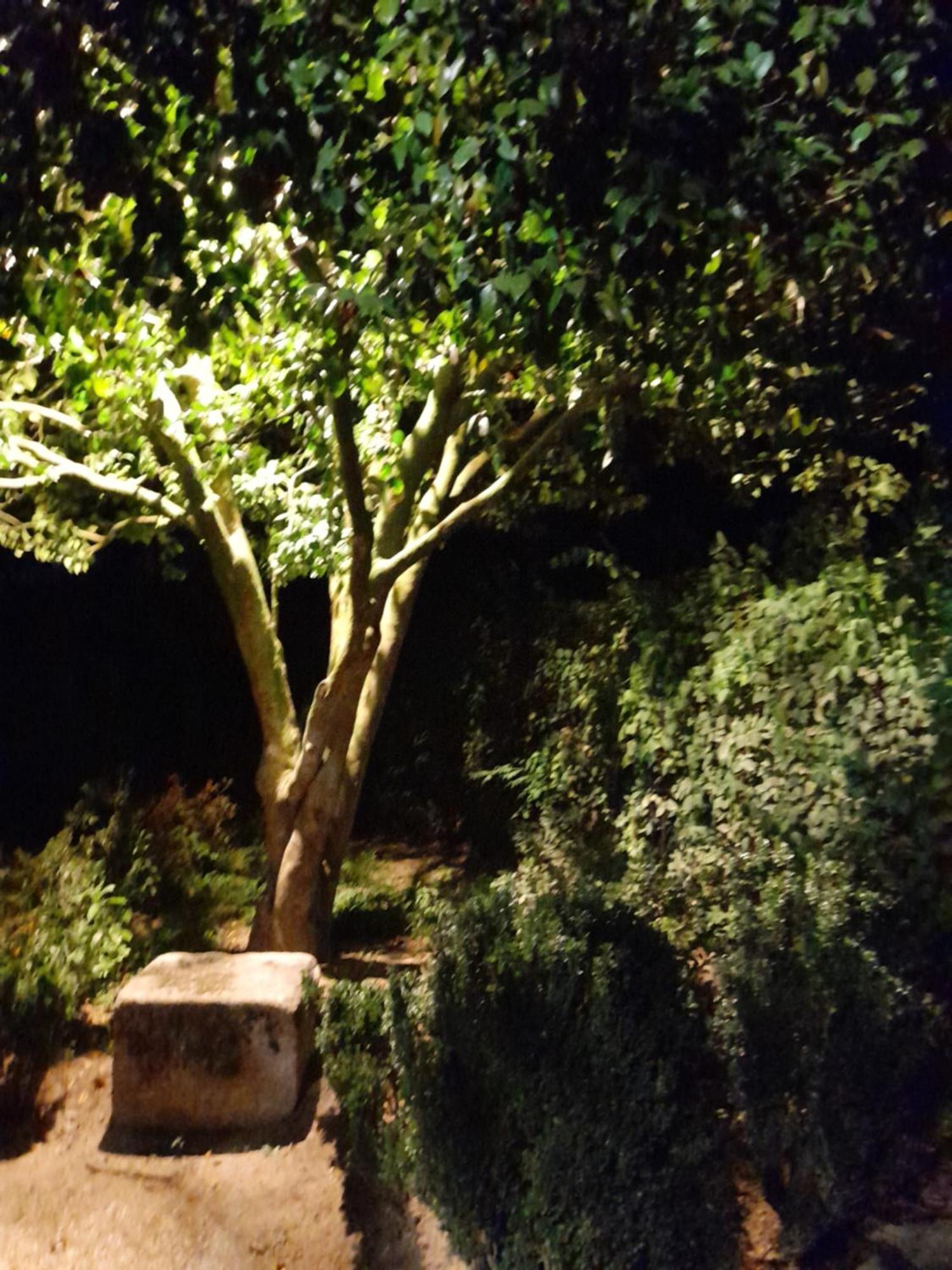 Quinta da Maínha Solar ALojamento local com piscina privada em Braga Exterior foto