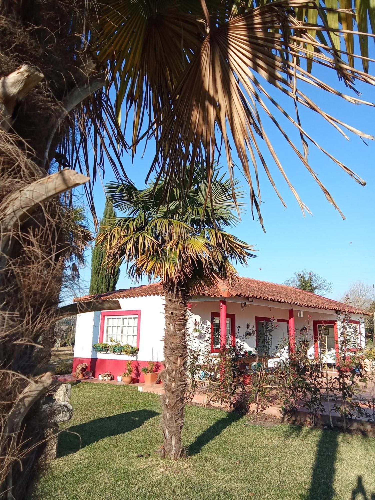 Quinta da Maínha Solar ALojamento local com piscina privada em Braga Exterior foto